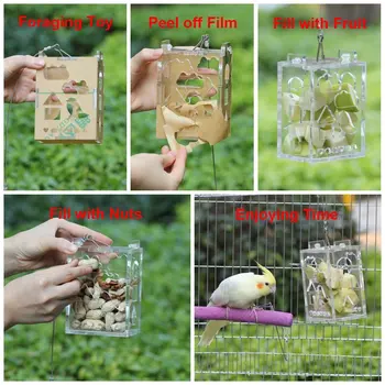 Papūga Kūrybos Maitinimosi Žaislas Finansuojančiojo Paukščių Žvalgybos Augimo Narve Akrilo Lange Žaislai, kuriuos