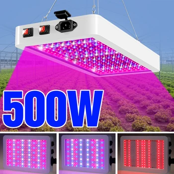 220V LED Full spectrum Augti Šviesos 300W 500W Šiltnamio efektą sukeliančių Darželio Fitolampy LED Fito Lampada Hydroponics Augalų, Gėlių, Daržovių