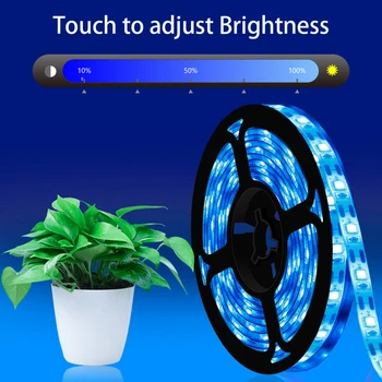 SMD 2835 Led augalų augimo šviesos ruože 60pcs/m šviesos karoliukai 5V USB Lanksti LED Augti Juostelės Šviesos Akvariumas Šiltnamio efektą sukeliančių Hydroponi