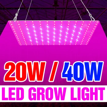 20W 40W Phytolamp LED Full spectrum LED Grow Light Augalų Augimo Lempa 220V Šiltnamio efektą sukeliančių Daigų Fito Šviesos diodų (LED) Gėlių Sėklų Lampada