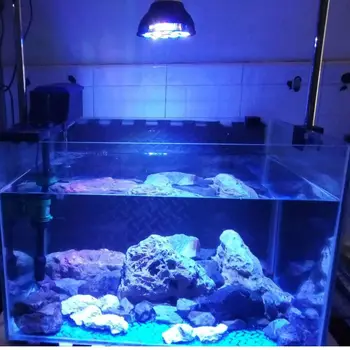 Nemokamai tinkinti Akvariumas LED šviesos diodų (led) pet Apšvietimo žuvų bakas augalų auga lemputė 54W dėl sūraus jūros koralų rifas karterio dumbliai