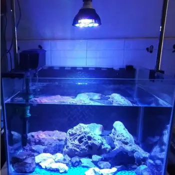 Nemokamai tinkinti Akvariumas LED šviesos diodų (led) pet Apšvietimo žuvų bakas augalų auga lemputė 54W dėl sūraus jūros koralų rifas karterio dumbliai