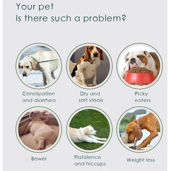 Šuo probiotikų tablečių kondicionavimo sistema, virškinimo pet šuniukai bendrojo vėmimas ir viduriavimas augintinių sveikatos priežiūros gaminiai