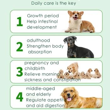Šuo probiotikų tablečių kondicionavimo sistema, virškinimo pet šuniukai bendrojo vėmimas ir viduriavimas augintinių sveikatos priežiūros gaminiai