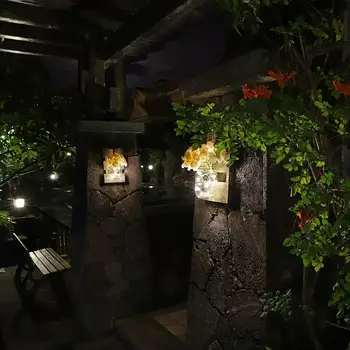 2 Pack American Retro LED Medžio, Stiklo Mason Jar Pasakų Šviesos Sieniniai Šviestuvai su Gėlių Namų Restoranas Koridoriaus Juostą, Sienų Dekoras