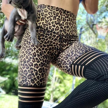 Moterų Tinklinio Sporto Antblauzdžiai Push Up Leopardas Spausdinti Aukštos Juosmens Fitneso Moterų Antblauzdžiai Seksuali Kvėpuojantis
