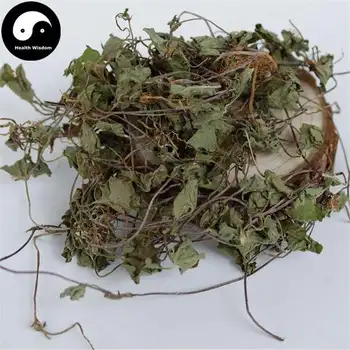 Ji Xue Cao, Azijinių Pennywort Žolė, Centella Asiatica, Herba Centellae