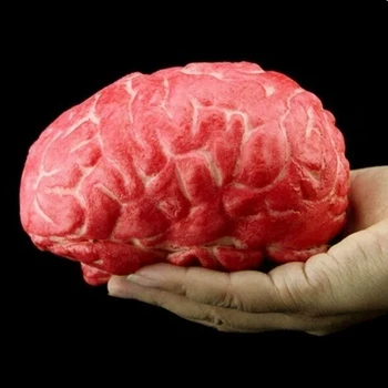 Helovinas Vaiduoklis Dieną Modeliavimas Smegenų Žaislai Siaubo Gumos Netikrą Žmogaus Smegenys Prop Žaislai Organas, Kūno Dalis Helovinas Apdailos
