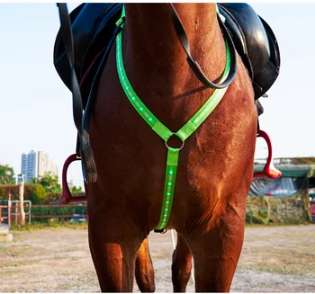 LED Jodinėjimas Žirgais Diržo Vandeniui Nailono Arklio Krūtinės Diržo Naktį Matomos Breastplate Equitation Apšvietimo Jojimo Įranga