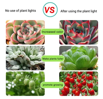 USB LED Augalų Auga Šviesos Ruože Fitolampy Augti Žiburiai Kambarinių Augalų, Gėlių Daigų Už Hydroponic Šiltnamio efektą sukeliančių Sodinukai