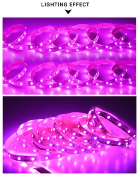 USB LED Augalų Auga Šviesos Ruože Fitolampy Augti Žiburiai Kambarinių Augalų, Gėlių Daigų Už Hydroponic Šiltnamio efektą sukeliančių Sodinukai
