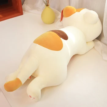 Mielas numylėtinis katinas pagalvę peluche žaislai mergina office gulėti pagalvę kawaii pliušinis minkšti žaislai žemyn medvilnės užpildytas namų dekoro atostogų dovanų