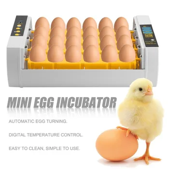 24 Kiaušiniai, Automatinė Kiaušinių Tekinimo Didelės Talpos, Praktiška Mini Inkubatorius Vištienos Naminių Putpelių Turkija Kiaušiniai Namų Naudojimui