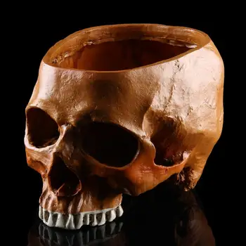 Nauji Karšto Pardavimo Dervos Replika Žmogaus Kaukolės Modelis Medicinos Šalies Juostos Atraminis Vazonas Sodinamoji Višta Vestuves Tiekimą Namų Dekoro