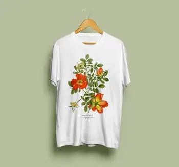 Sunfiz Austrijos Briar Rose Unisex Marškinėliai - Botanikos Iliustracija, Botanikos, Dailės, Botanika, Gėlių Marškinėlius, Rosa Foetida, Derliaus