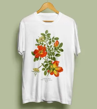 Sunfiz Austrijos Briar Rose Unisex Marškinėliai - Botanikos Iliustracija, Botanikos, Dailės, Botanika, Gėlių Marškinėlius, Rosa Foetida, Derliaus