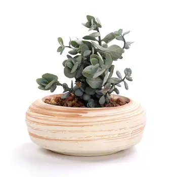 SAULĖ-E 6 3 Colių Keramikos Mediniai Modelis Sultingi Augalų Puodą Kaktusas Augalų Puodą Gėlių Puodą, Indą Sodinamoji Dovanų Idėjos
