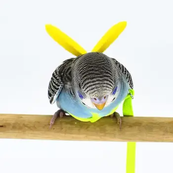 Anti-bitės skrydžio Mokymo Virvę Papūga Paukštis Pet Pavadėlio Rinkiniai Ultralight Panaudoti Pavadėlio Minkštas Nešiojamas Lauko Mokymo Pet Žaislais
